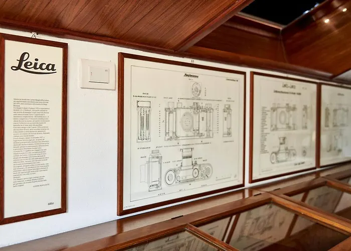 Great Charm I Due Leoni *